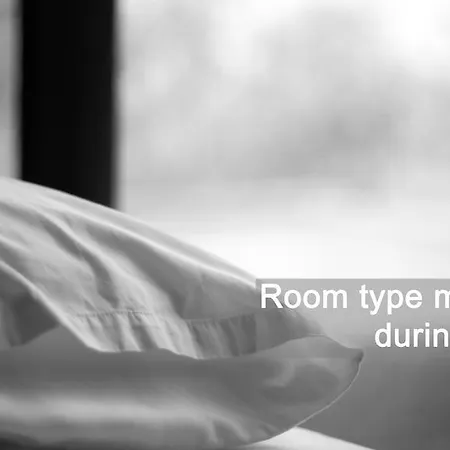 招待所 Vladimirov