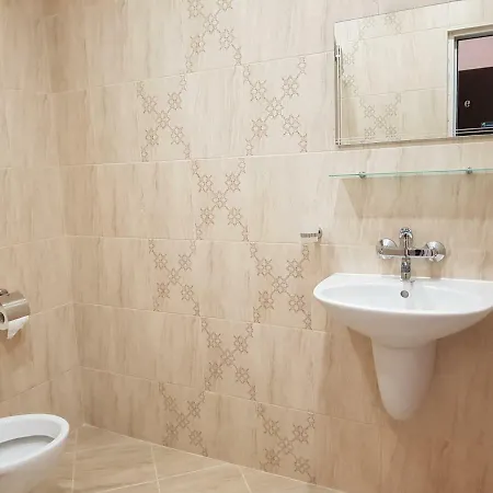 Vladimirov 招待所